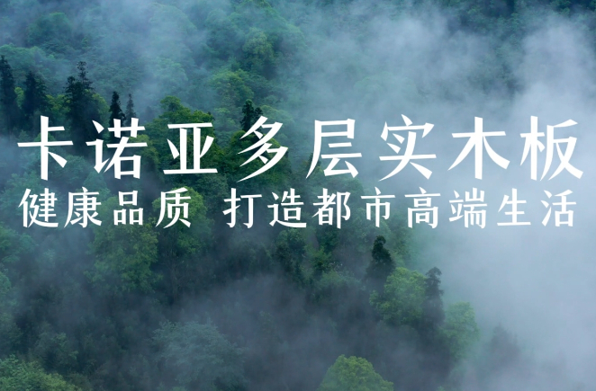 午夜视频在线播放多层实木板，环保品质再升级